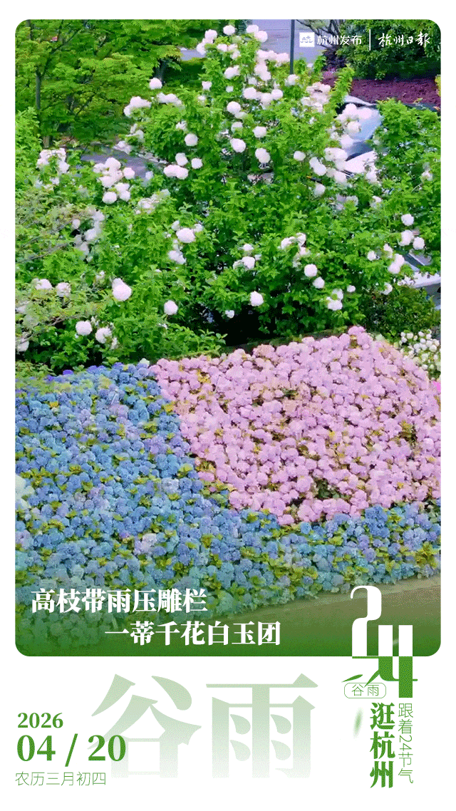 发布24节气动图-谷雨.gif