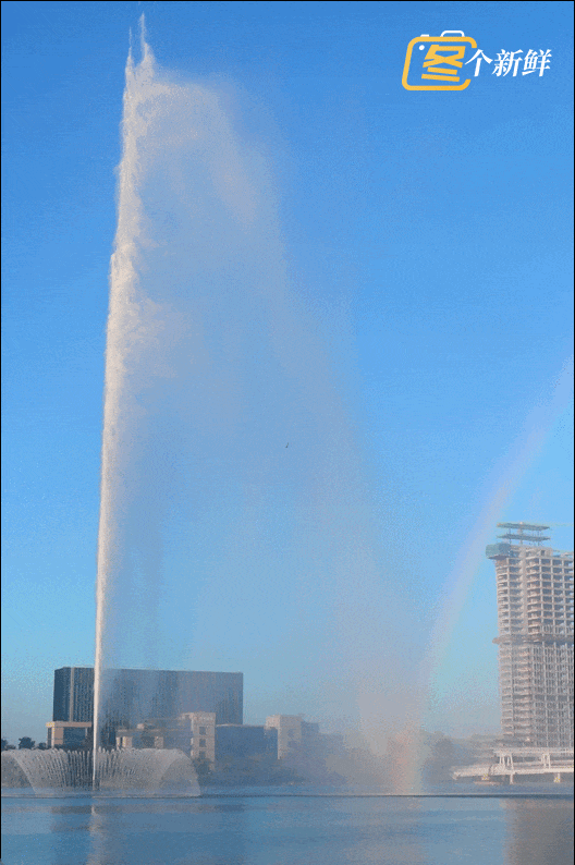 4.gif