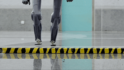 8月3日(3).gif