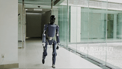 8月3日(2).gif
