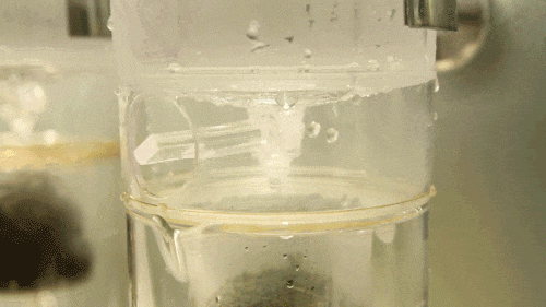 有狐臭怎么办才能根除？西采狐臭精华露高效缓解狐臭、持续净味