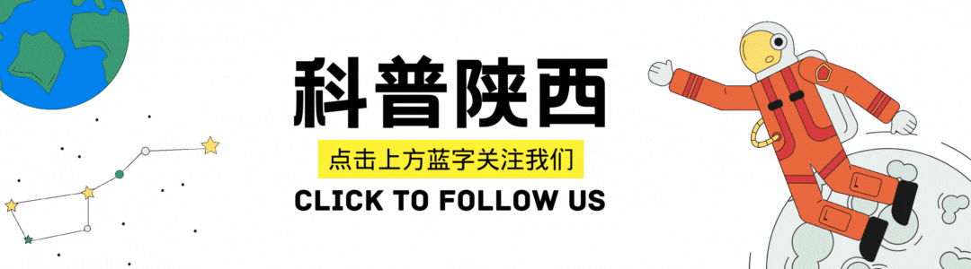md是胎儿的什么胎儿检出“超雄综合征”，十万网友劝打掉，这是触犯了天条吗？-上海聚慕医疗器械有限公司