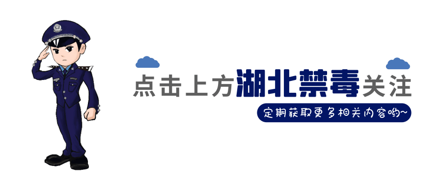 江苏卫视《围猎》今日开播,《围猎》高能开局，“运毒骡子”以身试险...