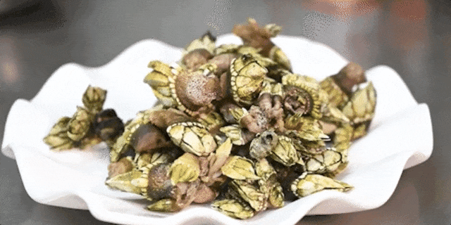 △清蒸狗爪螺。這里海水湛藍，讓人恍惚以為會有美人魚躍入面前。</p><p style=