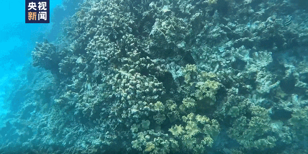 中方保护VS菲方破坏！到底是谁在破坏南海？