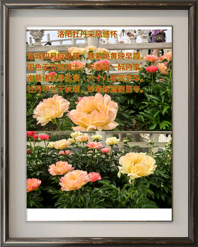 0cb6448b823c0cd4a1111594d75efe3