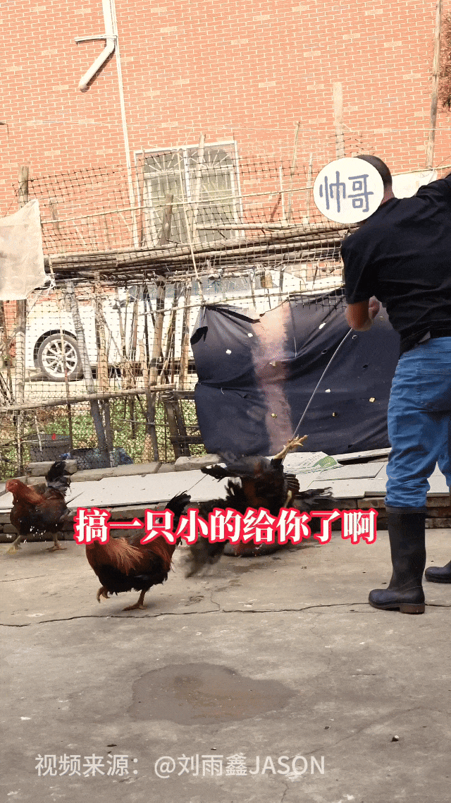 4月5日(2).gif