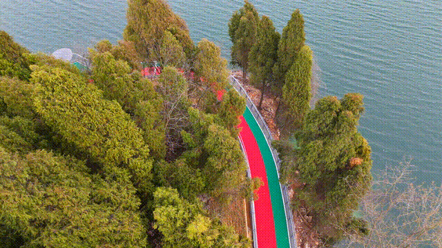 3月7滨湖 00_00_00-00_00_30.gif