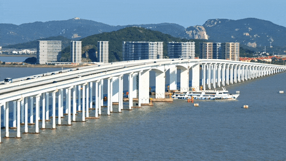 舟山网·大海网:舟山