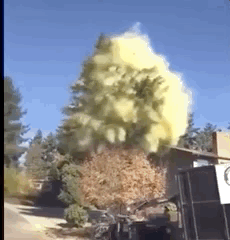 日本人的安全感 离不开口罩 浪潮工作室 微信公众号文章阅读 Wemp