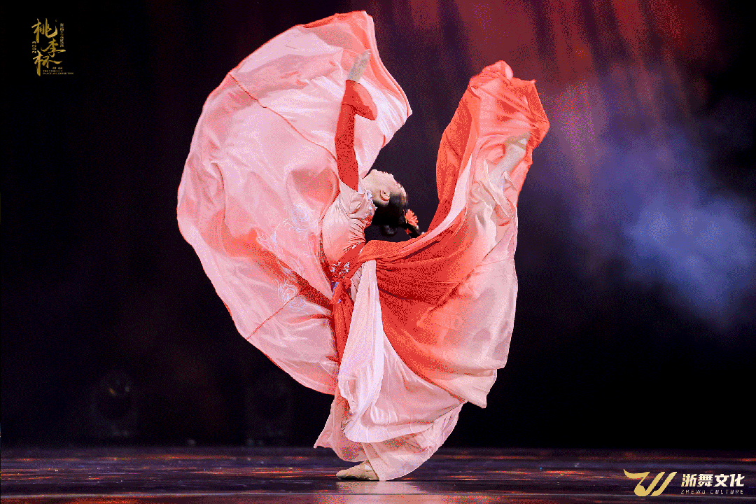 2024桃李杯03舞蹈艺术展演报名简章