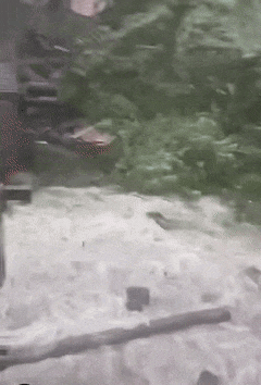 卖家货柜将滞港？年度风王“桦加沙”迫近，粤、港码头全面停摆！