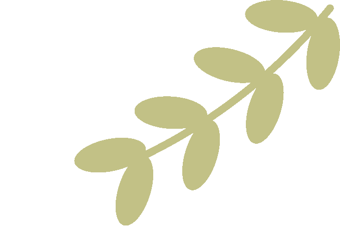 _法治在税收工作中的作用_善用法治思维推进税收法治