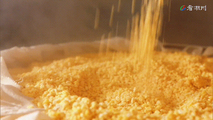 4月11日 (1)(1).gif