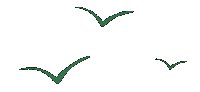 经历通红外护膝怎么用校友年货节｜希凤凰：石墨烯光波毯、长筒袜、电热护膝、抗菌内裤、羊毛保暖秋衣裤_https://www.jmylbn.com_新闻资讯_第38张