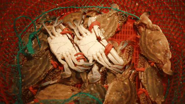 17e32038207febee3a4f30b0a98399e7.gif