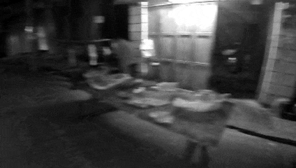 6月24日 (2)(1).gif