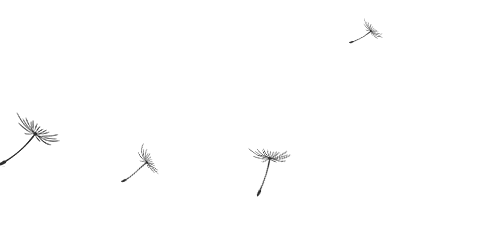 牙科骨凿怎么用「泓英口腔就诊指南」请查收！_https://www.jmylbn.com_新闻资讯_第22张