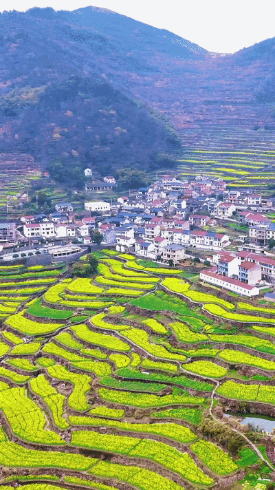 93d795d9b6fb366c7d1b54720ed150ae_raw[00_00_00--00_00_06].gif