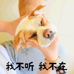 640?wx_fmt=gif&tp=webp&wxfrom=5&wx_lazy=1&wx_co=1