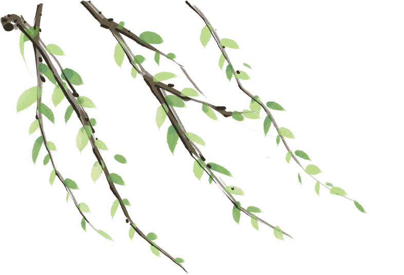 壳聚糖凝胶怎么用壳聚糖基水凝胶的应用_https://www.jmylbn.com_新闻资讯_第3张