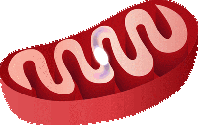 卵子老化有解了，教你从这五个方面给卵子“充电”！