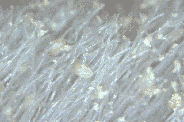 乳胶凉席好吗?能凉快吗?_乳胶凉席好还是凉席好_乳胶凉席好么