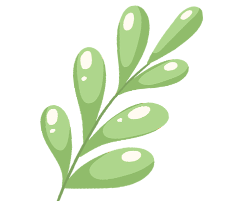 儿童雾化器怎么使用儿童雾化吸入全指南：原理、优点、使用方法及注意事项_https://www.jmylbn.com_新闻资讯_第5张