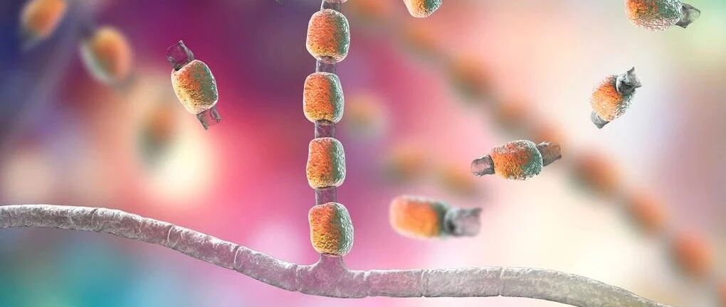 紧急提醒！尚无特效药！近期3名中国公民感染