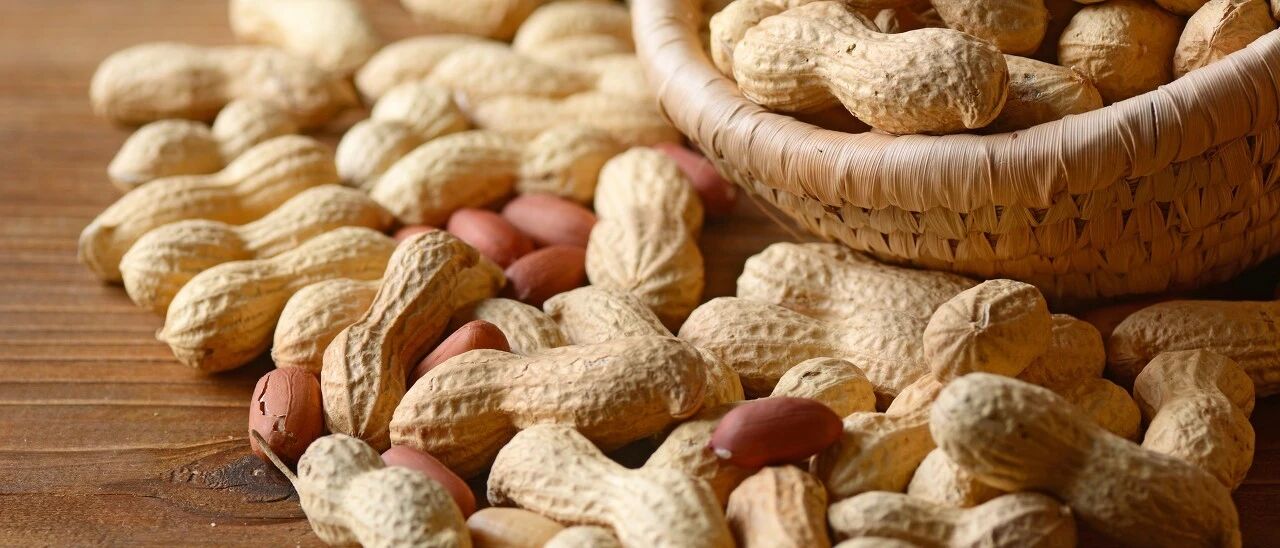 吃花生能软化血管、清除垃圾？醋泡花生营养更高？多年的疑问终于解开了…