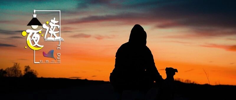 ​夜读丨成年人的放下：一半是理解，一半是算了