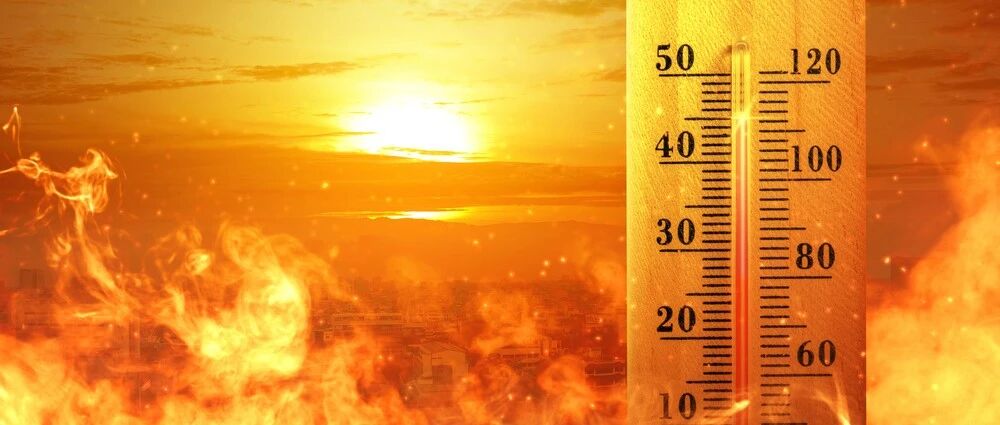 今日入伏，40天超长待机！一年中最热的日子来了，最需要注意这11件事