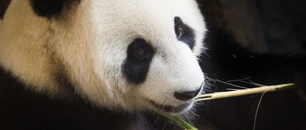 黑眼圈=没睡好？万万没想到，可能与这些疾病有关…