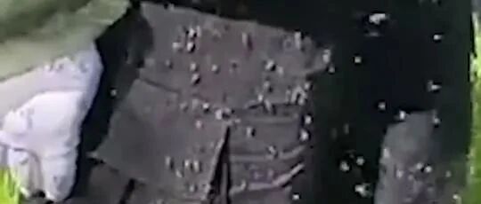 痒痒痒！一巴掌竟拍死100多只蚊子！核技术都不能让蚊子"断子绝孙"？没想到…