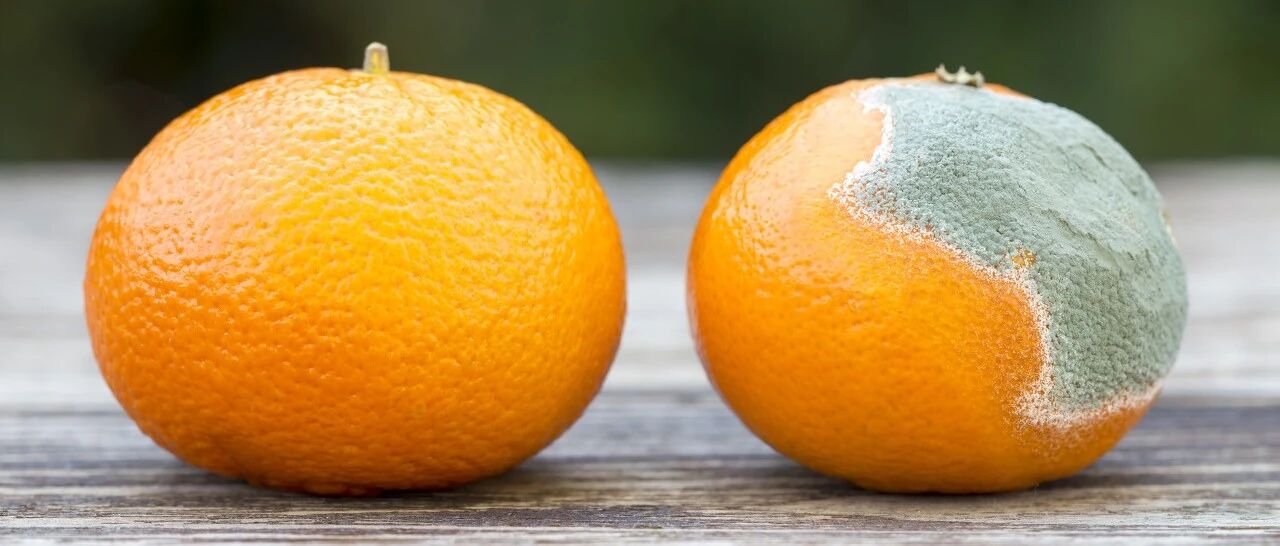 食物坏了一部分，别随意扔！这种情况的还能吃…