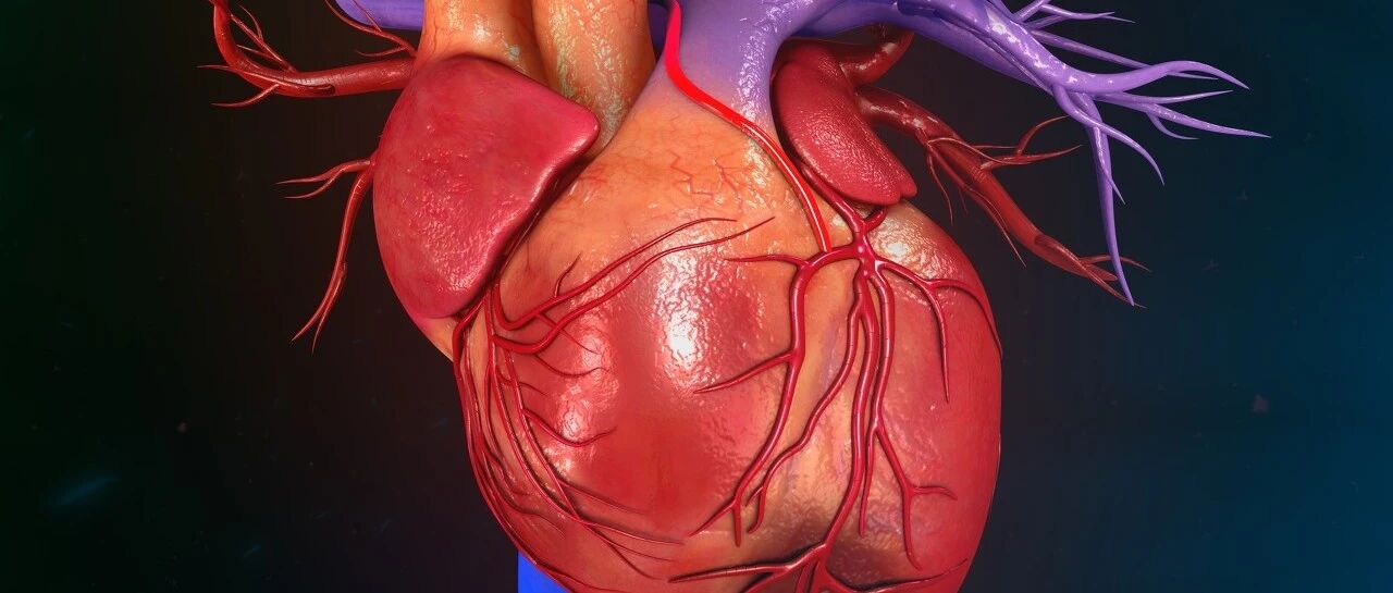 它是人体内的不定时炸弹，死亡率接近100%…跟心肌梗死症状很像