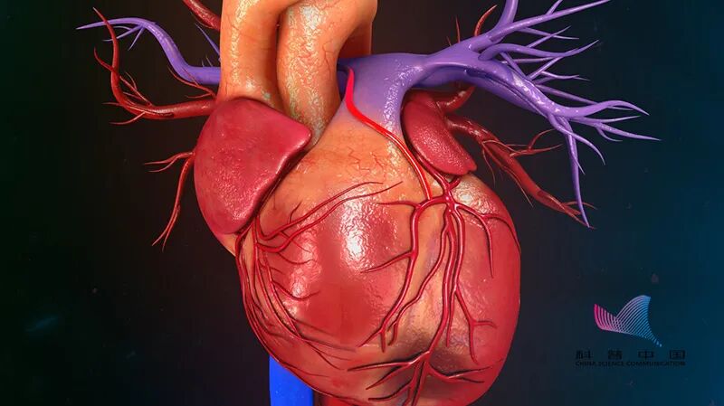 突发心梗最怕做10件事，不懂会造成终身遗憾！
