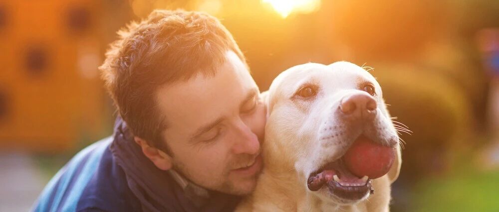 你那么爱你的宠物，那么它会回报这份爱吗？