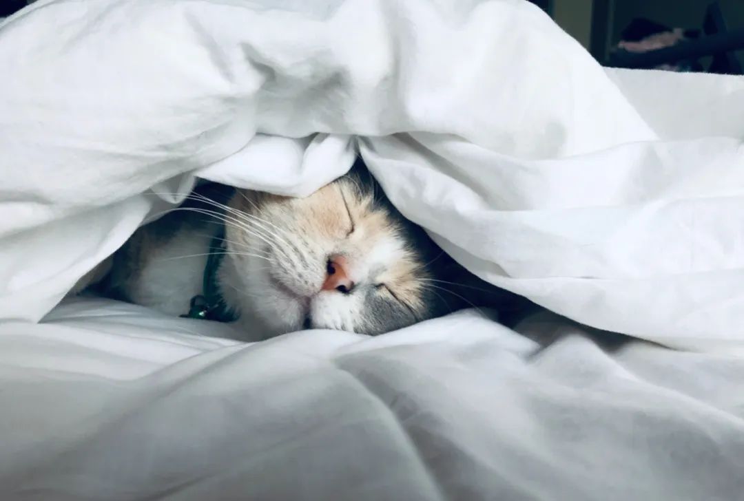 成年人需要多少睡眠