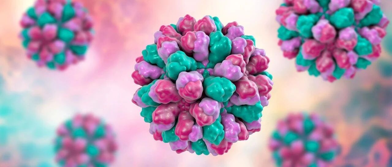 265名学生身体不适，确认是这种病毒感染！它的特征如下…