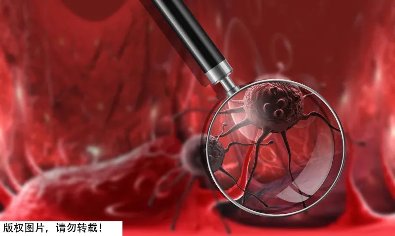 花生会促进癌症转移？劝你这样吃才安心！