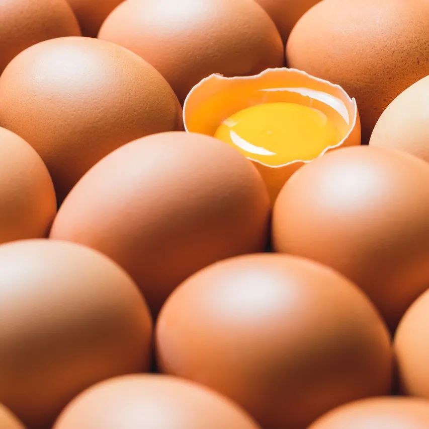 鸡蛋、鸭蛋、鹌鹑蛋，哪种更有营养？怎么选？还不知道的亏大了