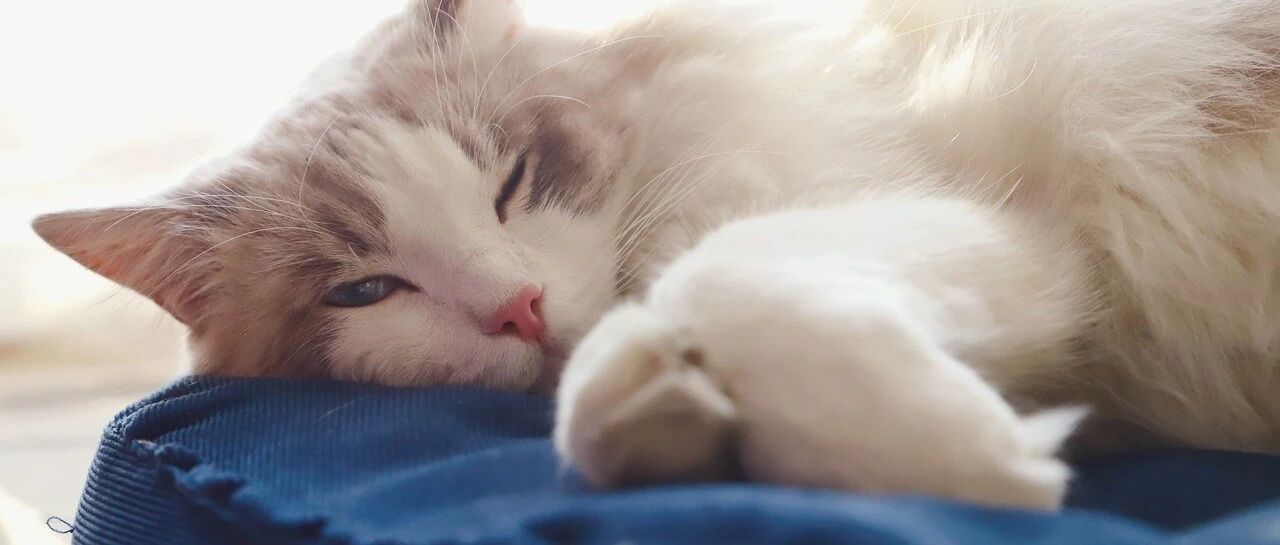 吓人！为啥有些人睡觉半睁眼？是因为眼睛太大？医生：可能是这些病