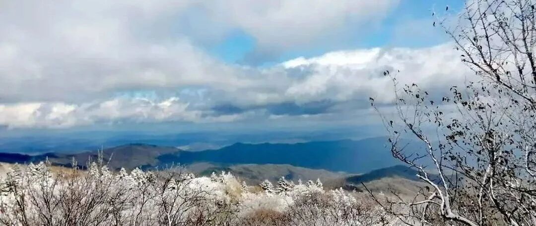 ​雪҈雪҈雪҈雪҈雪҈……第一场雪来了！多地解锁冬景模式
