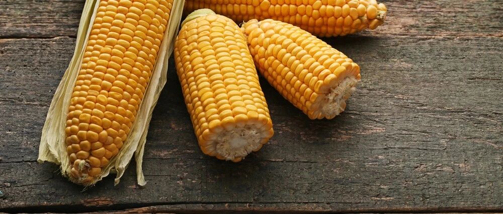 没吃也感染！发霉玉米致女子肺部长满真菌！很多人对此毫不知情…