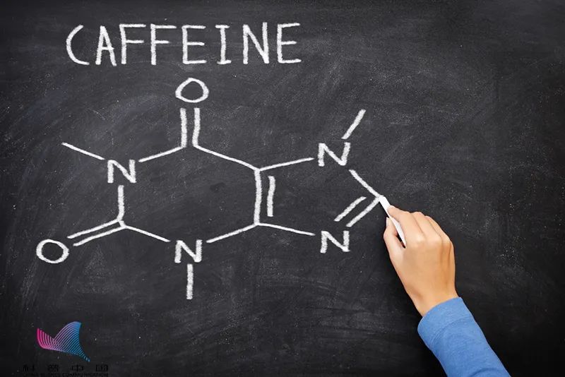 可怕！咖啡因会改变大脑结构？摄入过多会致癌？这几类人要当心
