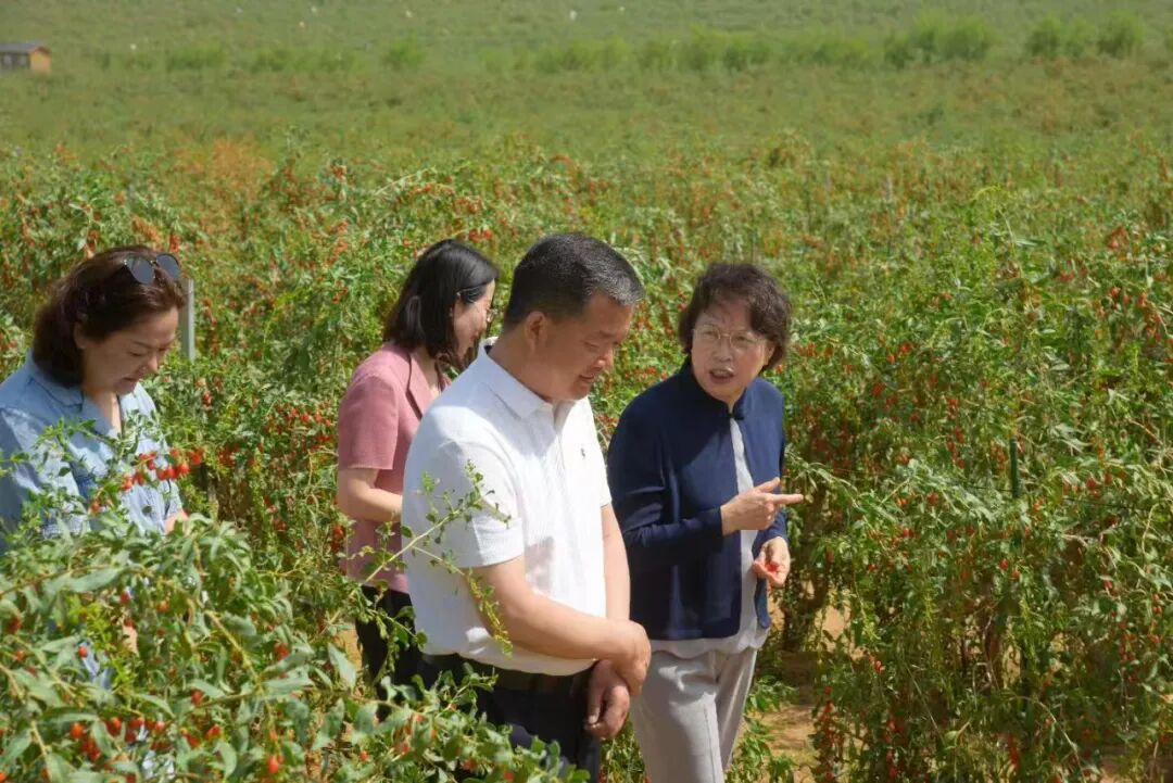 黄晓薇：引领广大妇女共绘民族团结进步同心圆