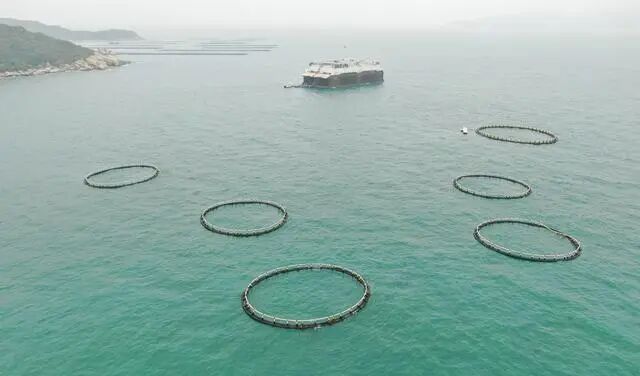 这是广东珠海万山海域的养殖网箱和中国首台半潜式波浪能养殖旅游平台“澎湖号”。新华社记者 邓华 摄　
