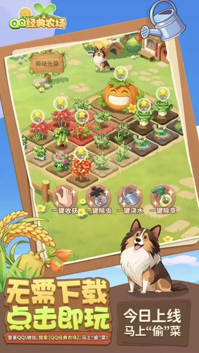 爷青回，QQ农场正式回归了～