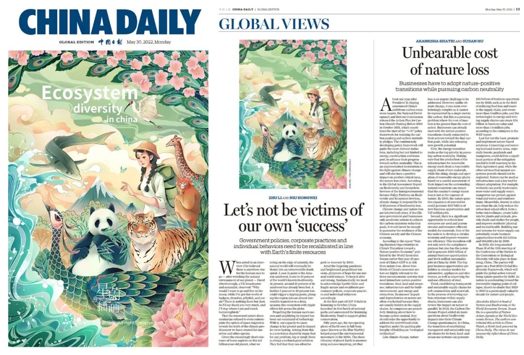 凭实力画的插画！又被央视翻牌了？！